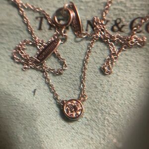 Tiffany & Co. .29! platinum Single Bezel Diamond Necklace